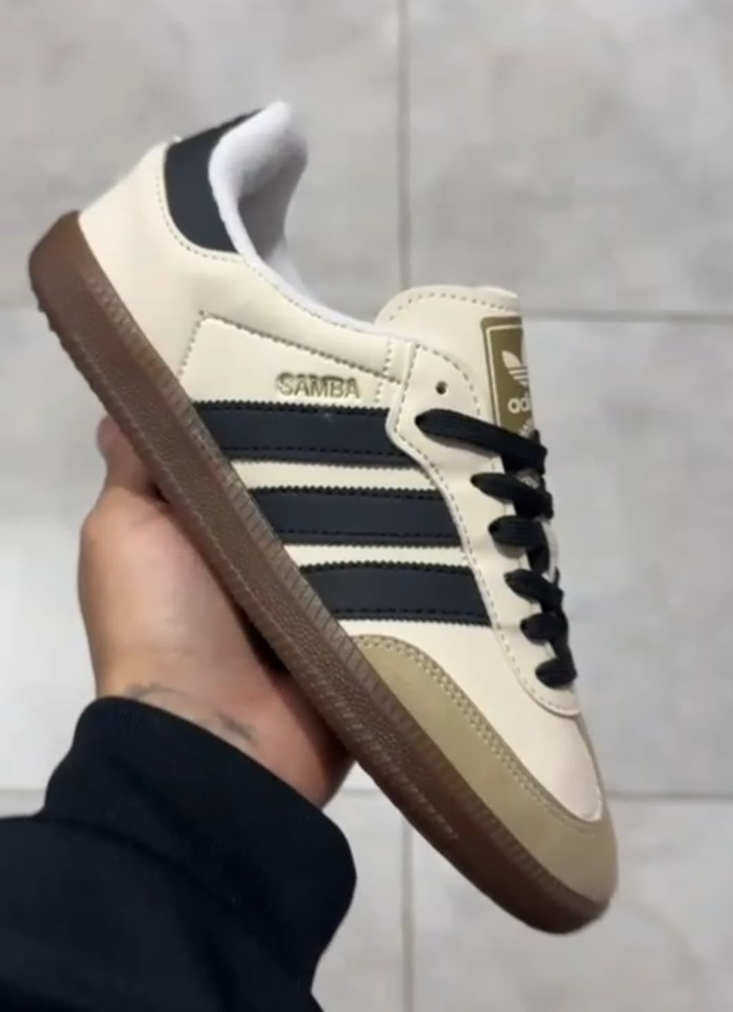 Sambas importadas