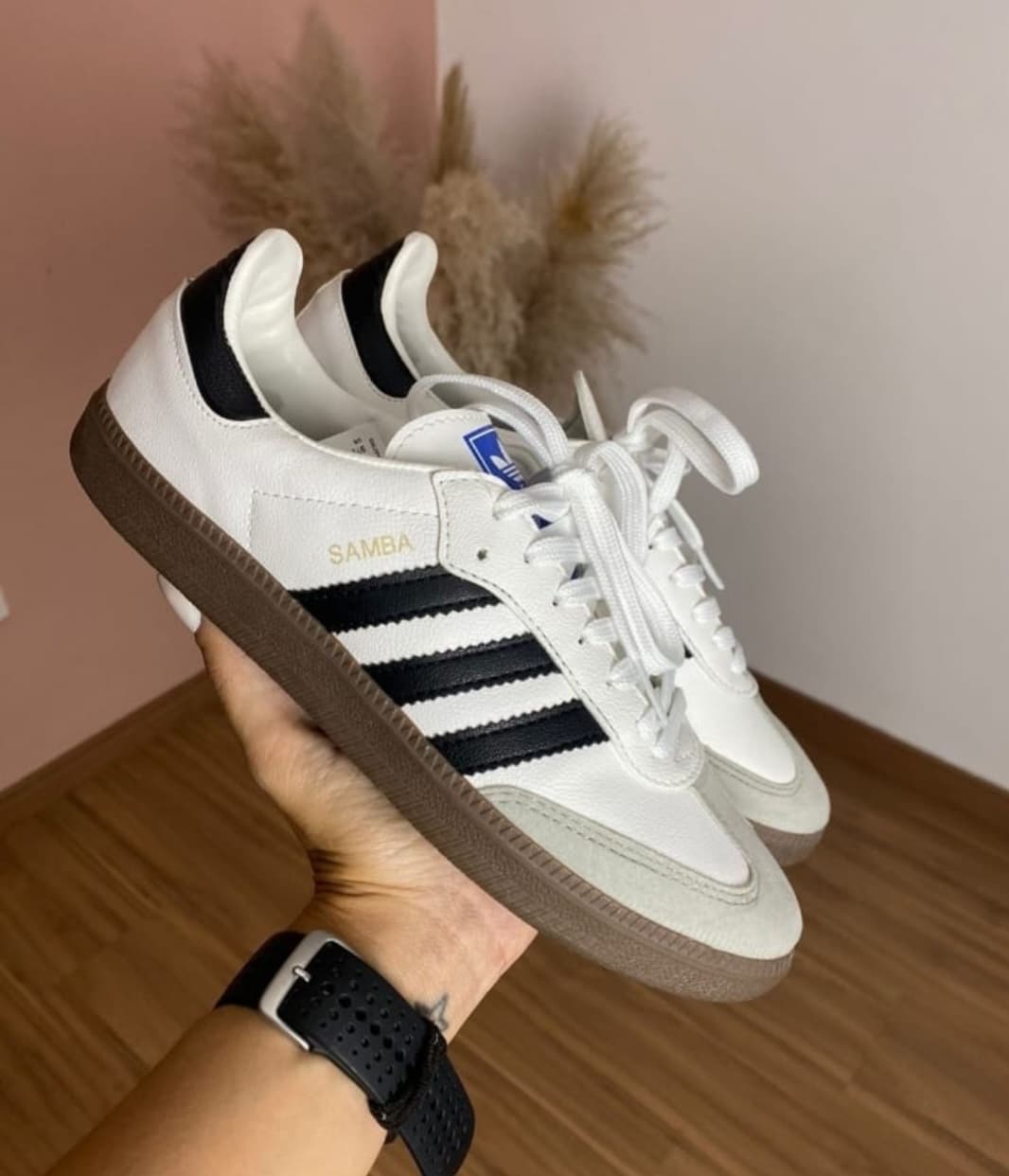 Sambas importadas